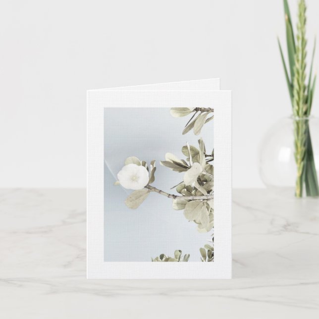 Sueños de Puerto Rico Thank You Card (Front)