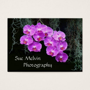 Sue's Business Card