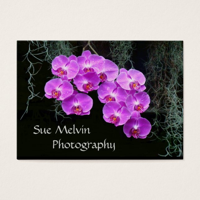 Sue's Business Card (Front)