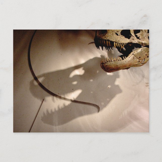 Sue's Shadow Postcard (Front)