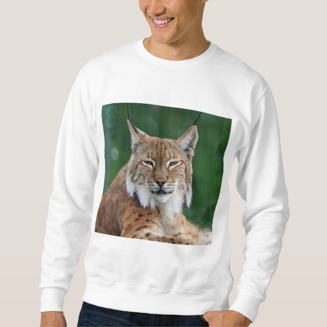 Suéter Lynx CCO. Sweatshirt (Front)