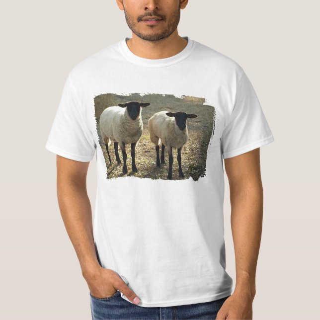 Suffolk Sheep Pastoral Pasture or Barnyard Scene T-Shirt (Front)