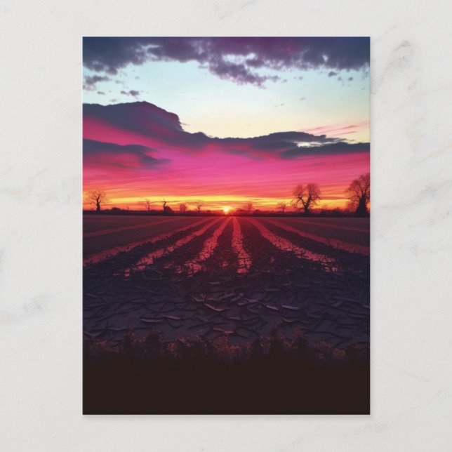 Suffolk Sunset Before Dusk  Postcard (Front)