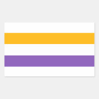 suffrage flag women's rights 19th Amendment