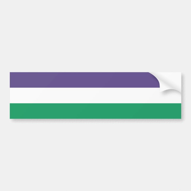 Suffragette Flag Bumper Sticker (Front)