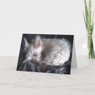 Sugar Bear Sleeping Greeting Card