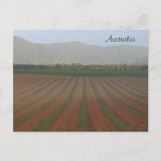 Sugar Cane Fields --- Queensland, Australia Postcard