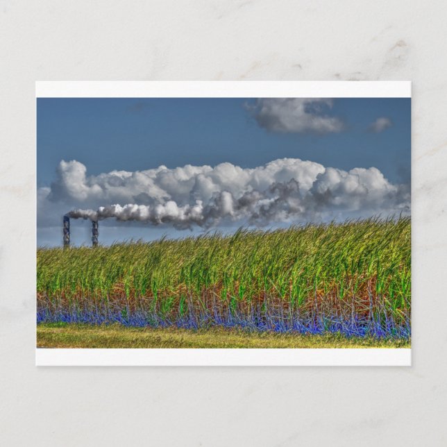 SUGAR CANE MILL RURAL QUEENSLAND AUSTRALIA POSTCARD (Front)