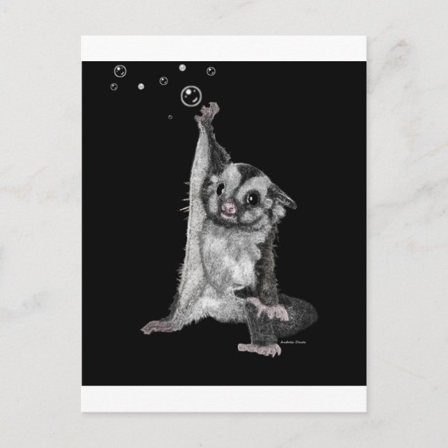 Sugar Glider Bubbles Postcard (Front)