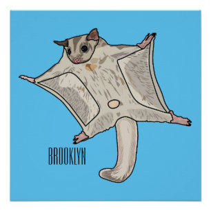 Sugar glider cartoon illustration poster