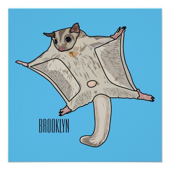 Sugar glider cartoon illustration poster (Front)