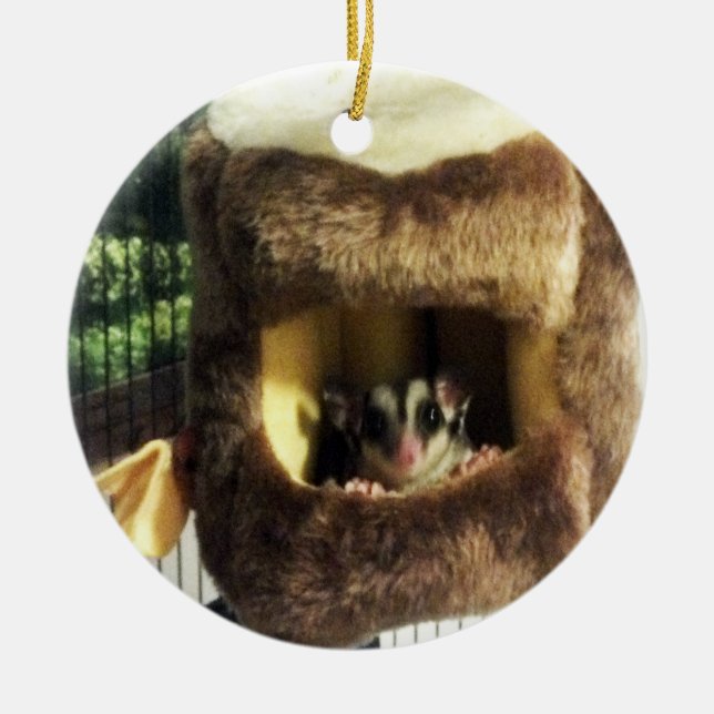 Sugar Glider in Furry Tree Truck Hanging Bed Ceramic Tree Decoration (Front)