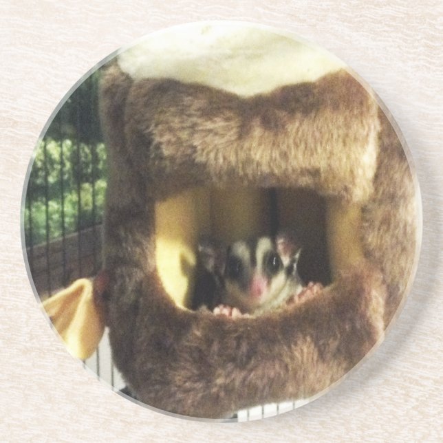 Sugar Glider in Furry Tree Truck Hanging Bed Coaster (Front)