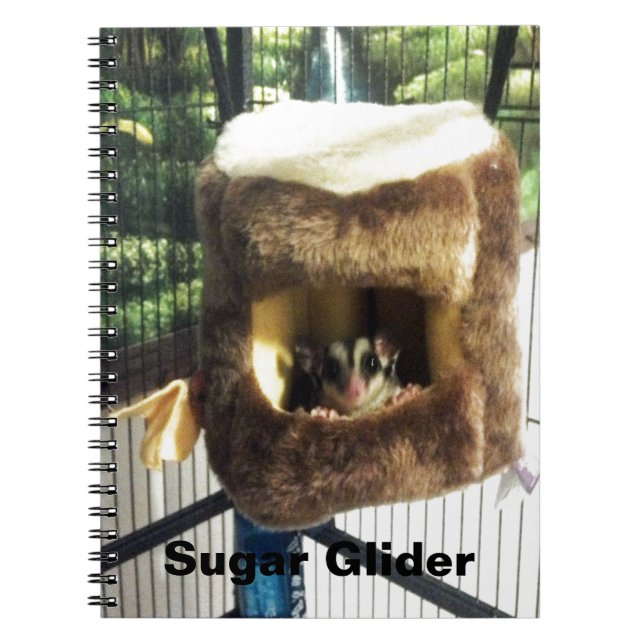 Sugar Glider in Furry Tree Truck Hanging Bed Notebook (Front)