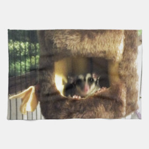Sugar Glider in Furry Tree Truck Hanging Bed Tea Towel