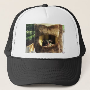 Sugar Glider in Furry Tree Truck Hanging Bed Trucker Hat