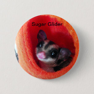 Sugar Glider in Orange Hanging Bed 6 Cm Round Badge