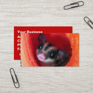 Sugar Glider in Orange Hanging Bed Business Card