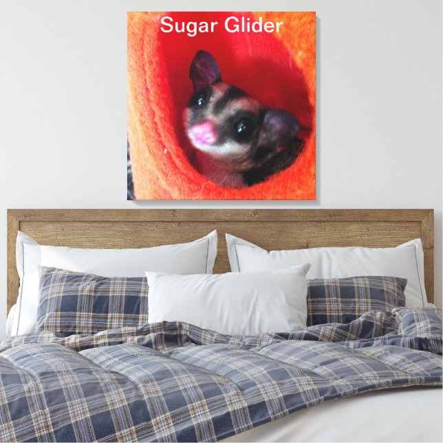 Sugar Glider in Orange Hanging Bed Canvas Print (Insitu(Bedroom))