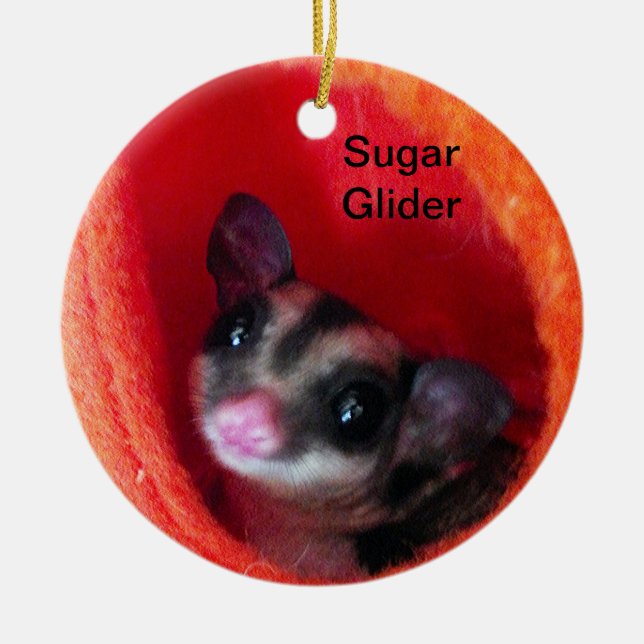 Sugar Glider in Orange Hanging Bed Ceramic Tree Decoration (Front)