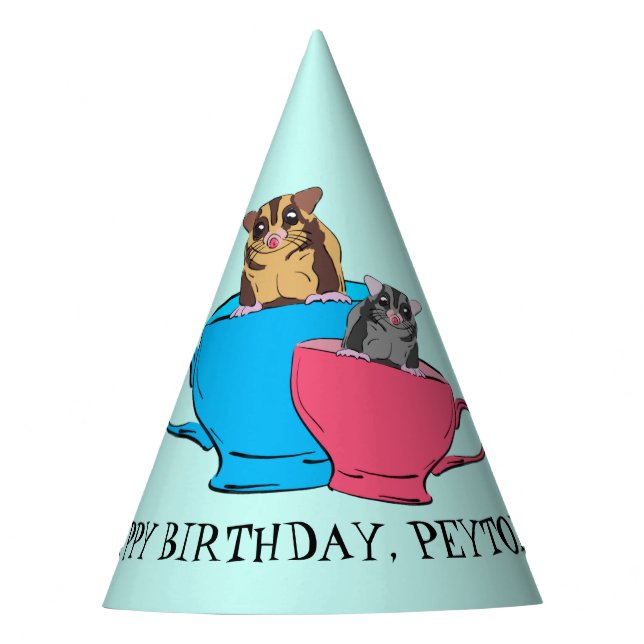 Sugar Glider in Tea Cups Custom Birthday Party Party Hat (Front)