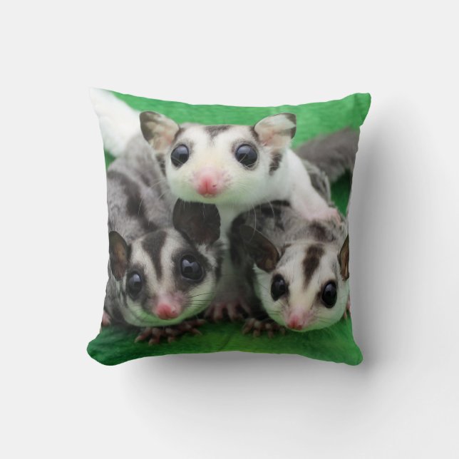 Sugar Glider Joey Trio Cushion (Front)