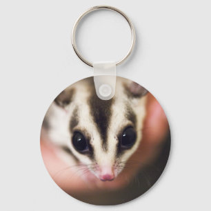 Sugar Glider keychain