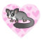 Sugar Glider Love