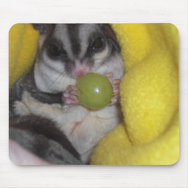 sugar glider mouse mouse mat (Front)