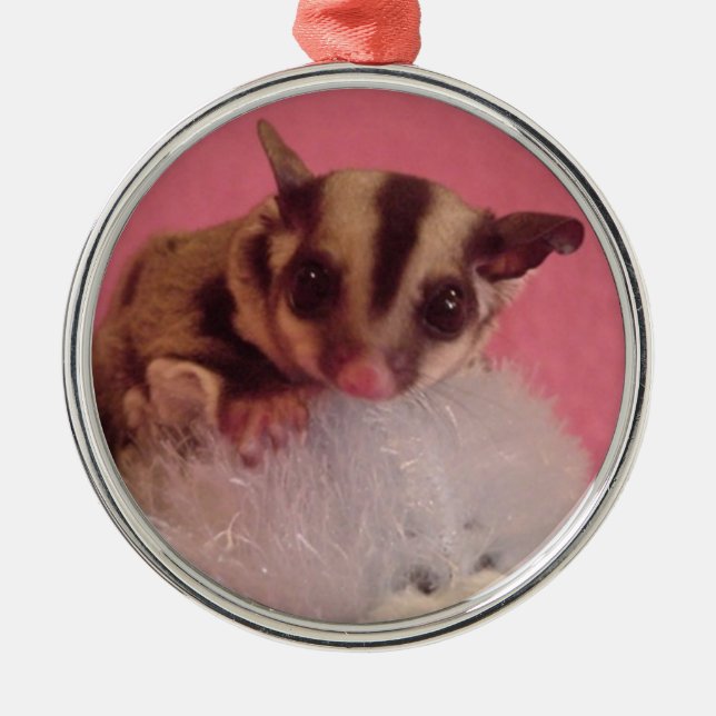 sugar glider ornament (Front)