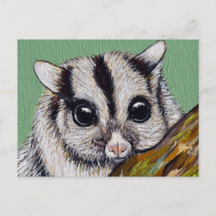 Sugar Glider Painting Postcard