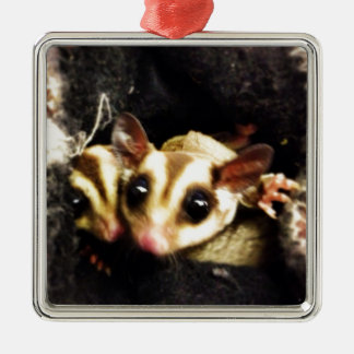 sugar glider photo design metal tree decoration