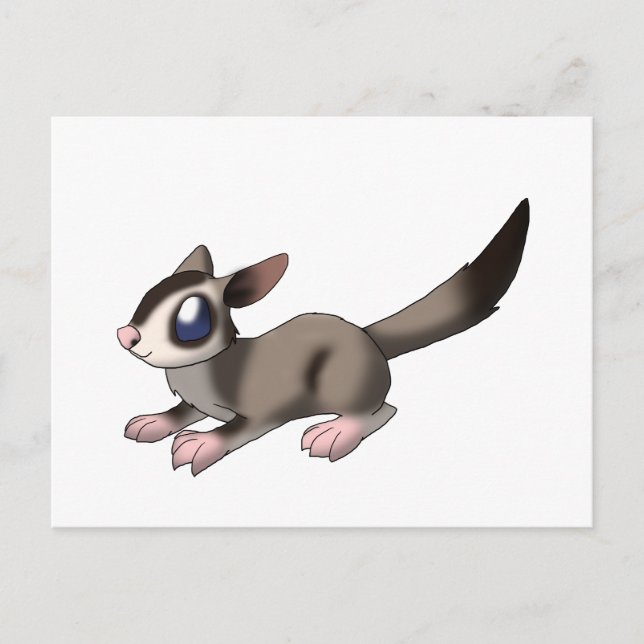 Sugar Glider Postcard (Front)