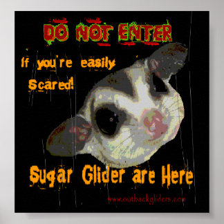 Sugar Glider Poster