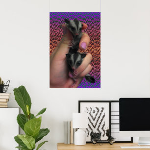 Sugar Glider Poster