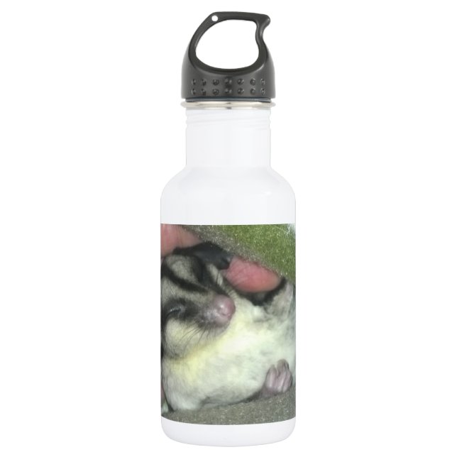 Sugar Glider Sleeping in Blanket 532 Ml Water Bottle (Front)