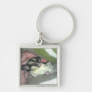Sugar Glider Sleeping in Blanket Key Ring