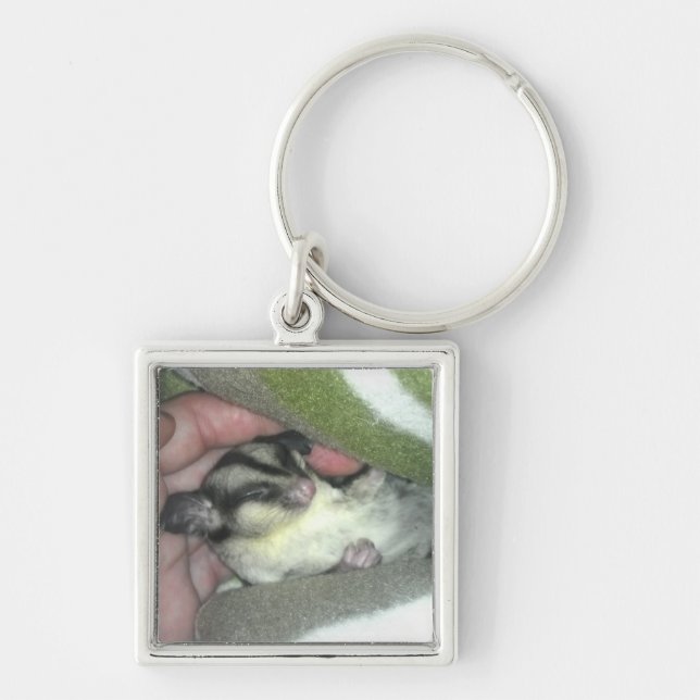 Sugar Glider Sleeping in Blanket Key Ring (Front)