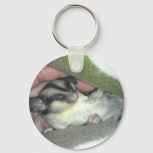 Sugar Glider Sleeping in Blanket Key Ring