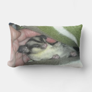 Sugar Glider Sleeping in Blanket Lumbar Cushion