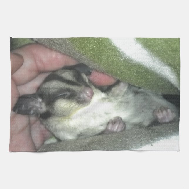 Sugar Glider Sleeping in Blanket Tea Towel (Horizontal)