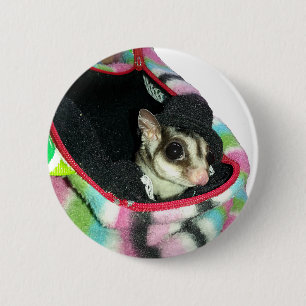Sugar Glider Wearing a Hat 6 Cm Round Badge