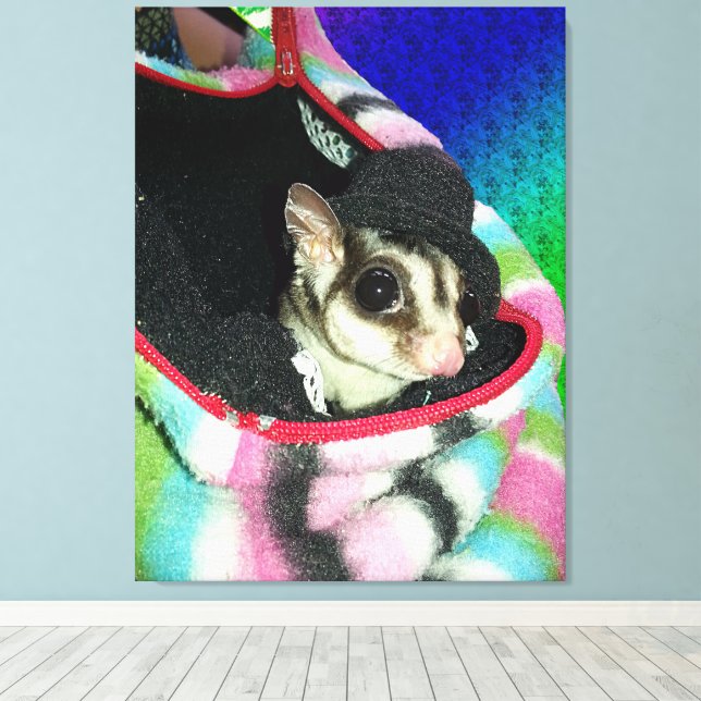 Sugar Glider Wearing a Hat Canvas Print (Insitu(Wood Floor))