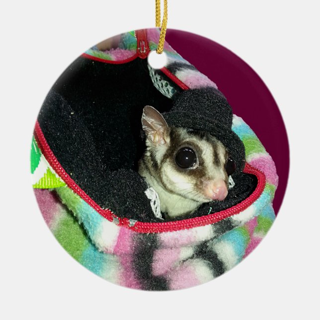 Sugar Glider Wearing a Hat Ceramic Tree Decoration (Front)