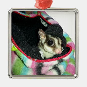 Sugar Glider Wearing a Hat Metal Tree Decoration