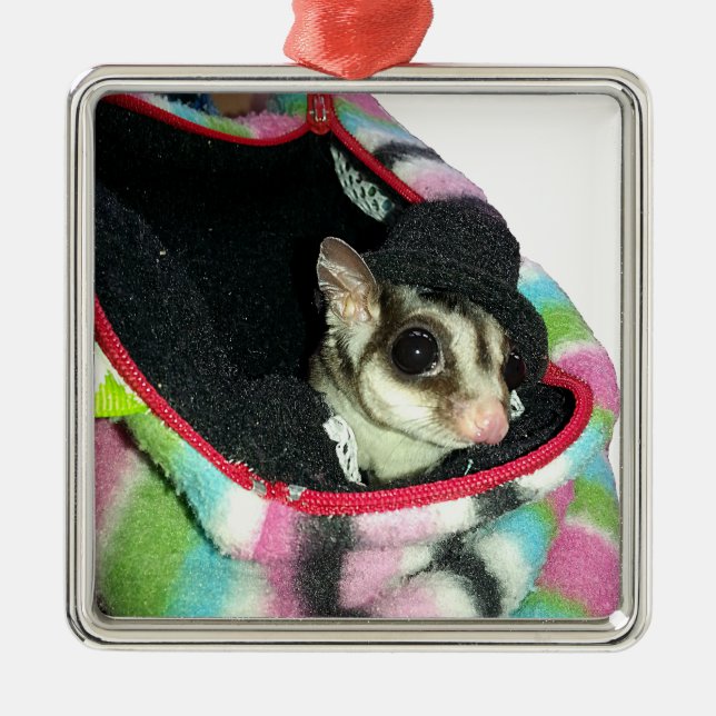 Sugar Glider Wearing a Hat Metal Tree Decoration (Front)