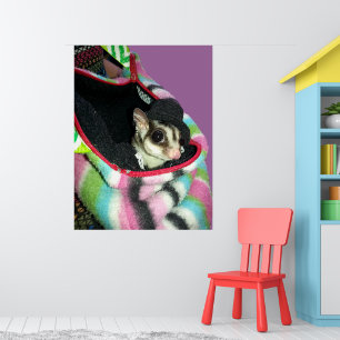 Sugar Glider Wearing a Hat Poster