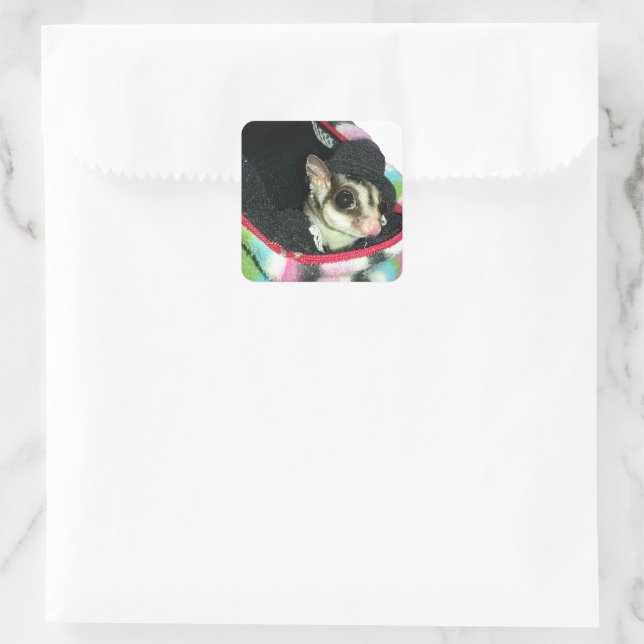 Sugar Glider Wearing a Hat Square Sticker (Bag)