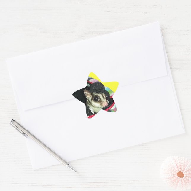 Sugar Glider Wearing a Hat Star Sticker (Envelope)