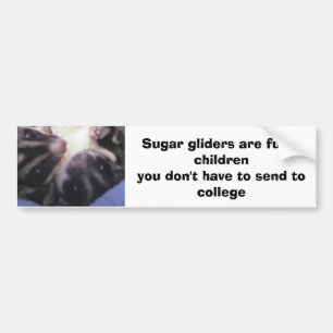 Sugar gliders are furr... bumper sticker